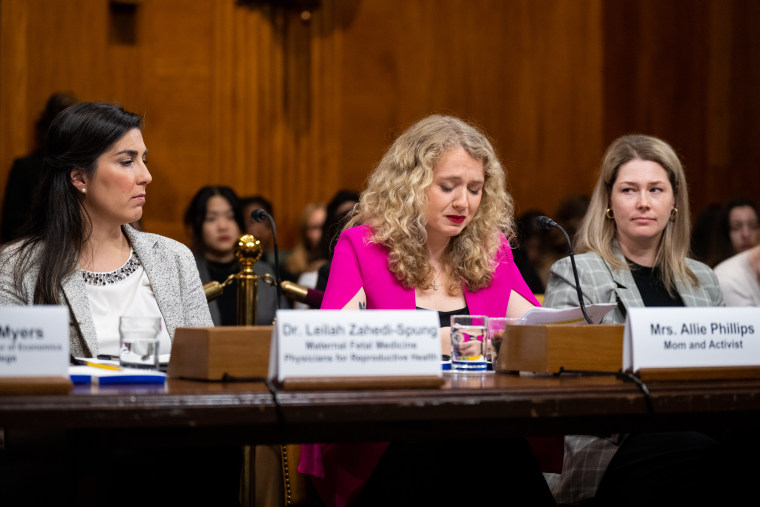 Senate Budget Reproductive Freedom Hearing